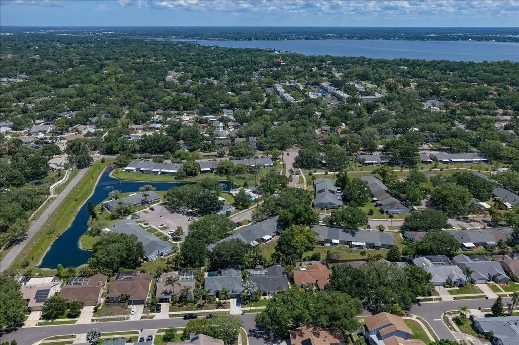 1334 Wickford Street Safety Harbor FL 34695