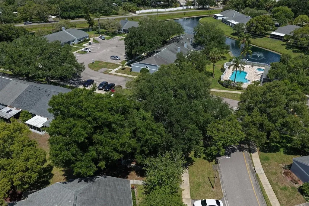 1334 Wickford Street Safety Harbor FL 34695
