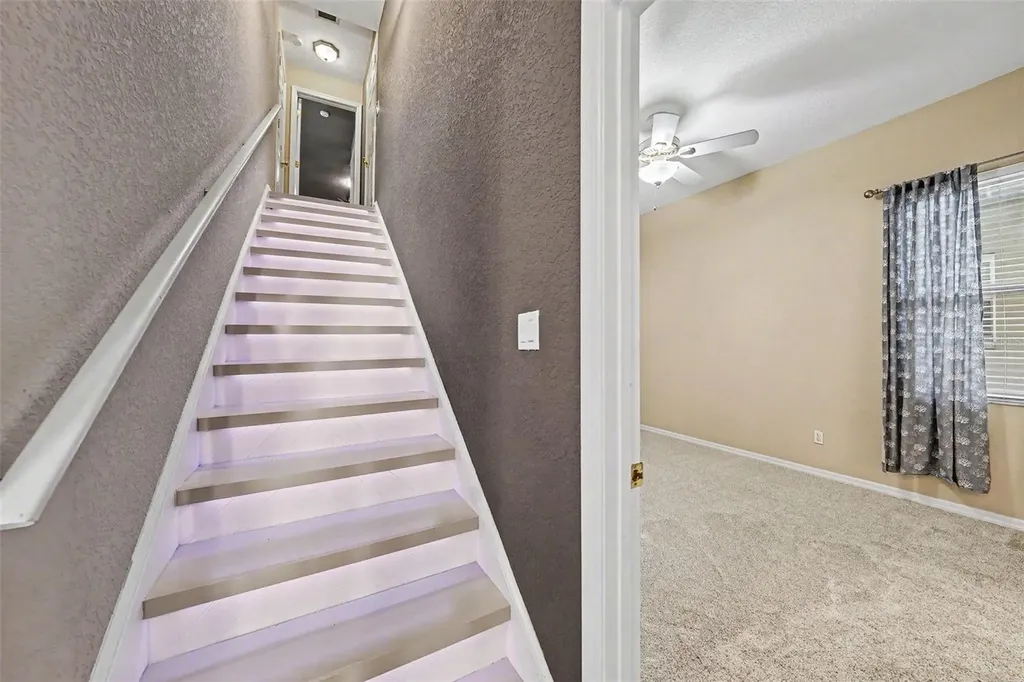 2305 Valrico Forest Drive Valrico FL 33594