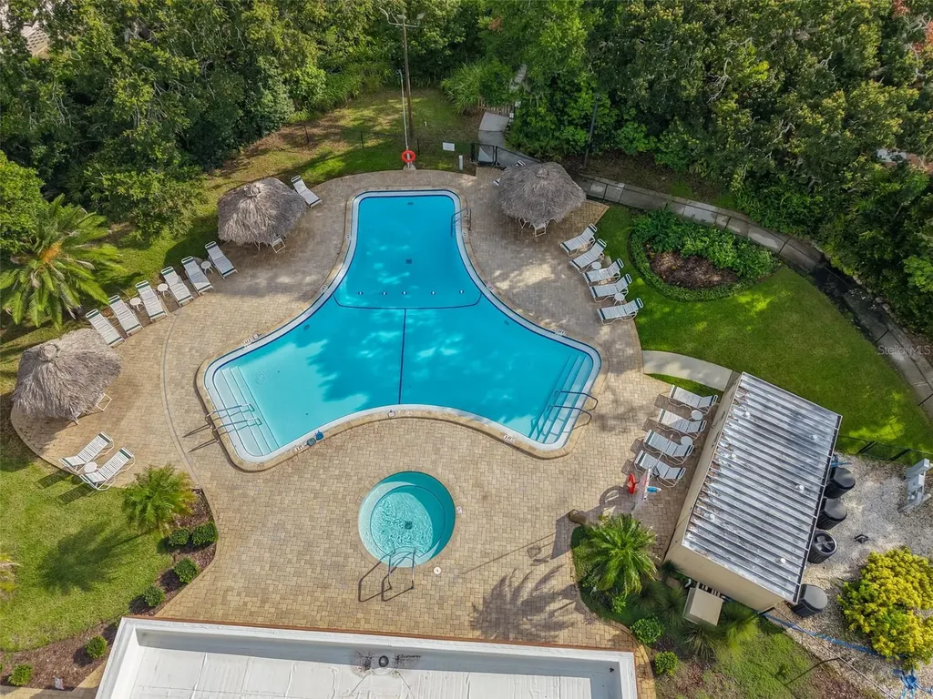 168 Beechwood Drive Safety Harbor FL 34695