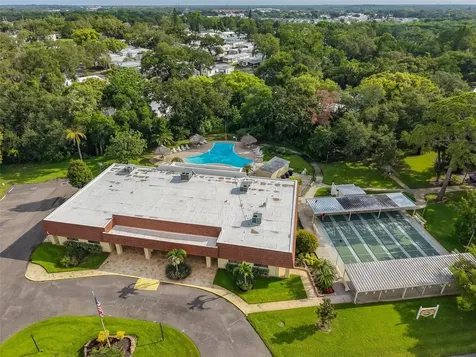 168 Beechwood Drive Safety Harbor FL 34695