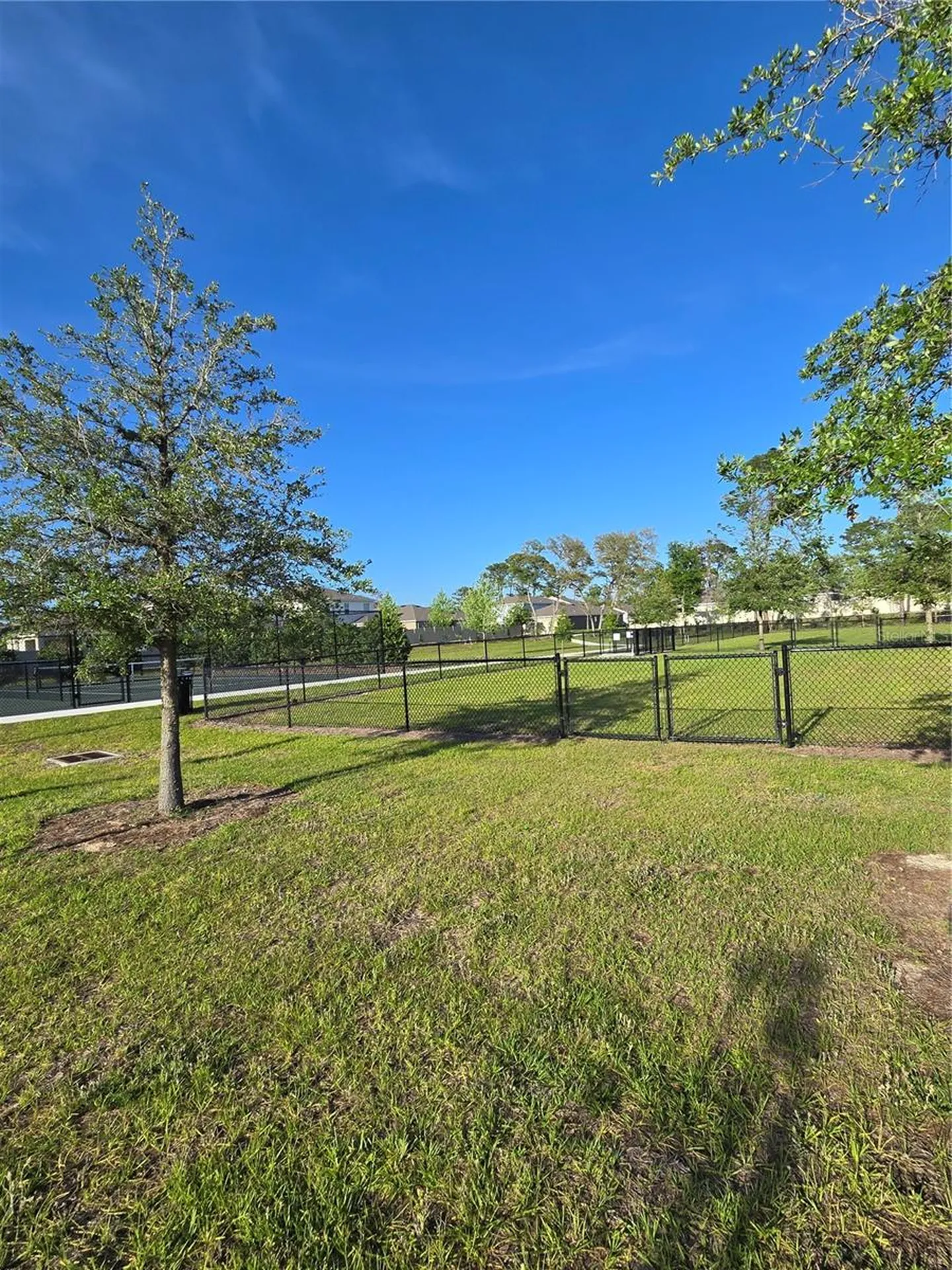 11370 Timber Grove Lane Brooksville FL 34613
