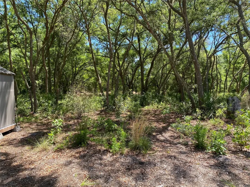 36064 Butternut Drive Webster FL 33597