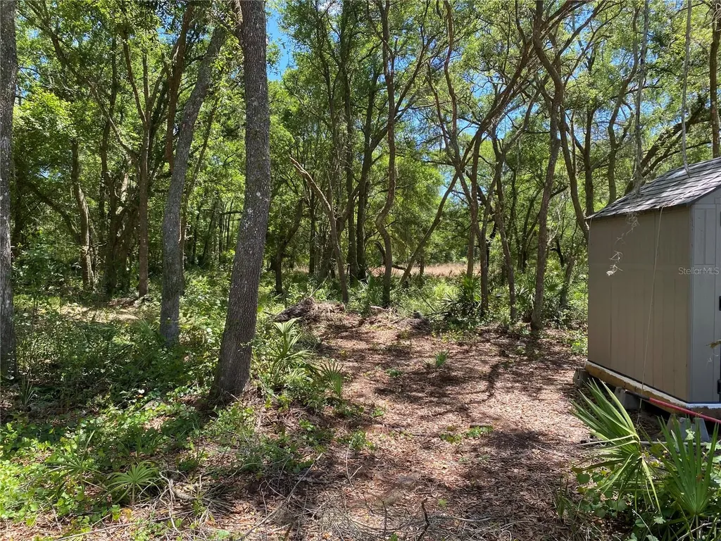 36064 Butternut Drive Webster FL 33597
