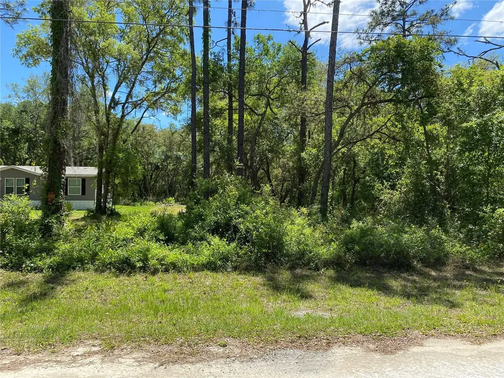 36064 Butternut Drive Webster FL 33597