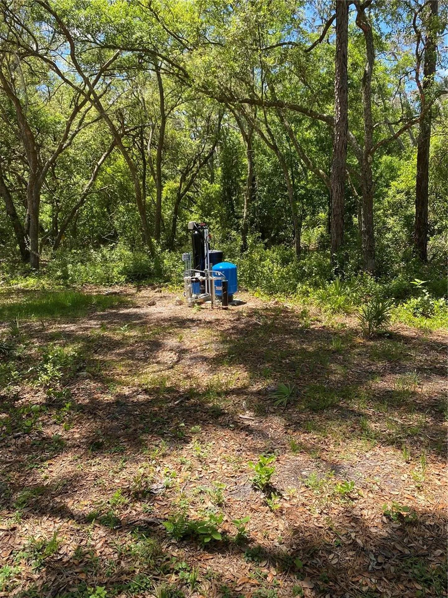 36064 Butternut Drive Webster FL 33597