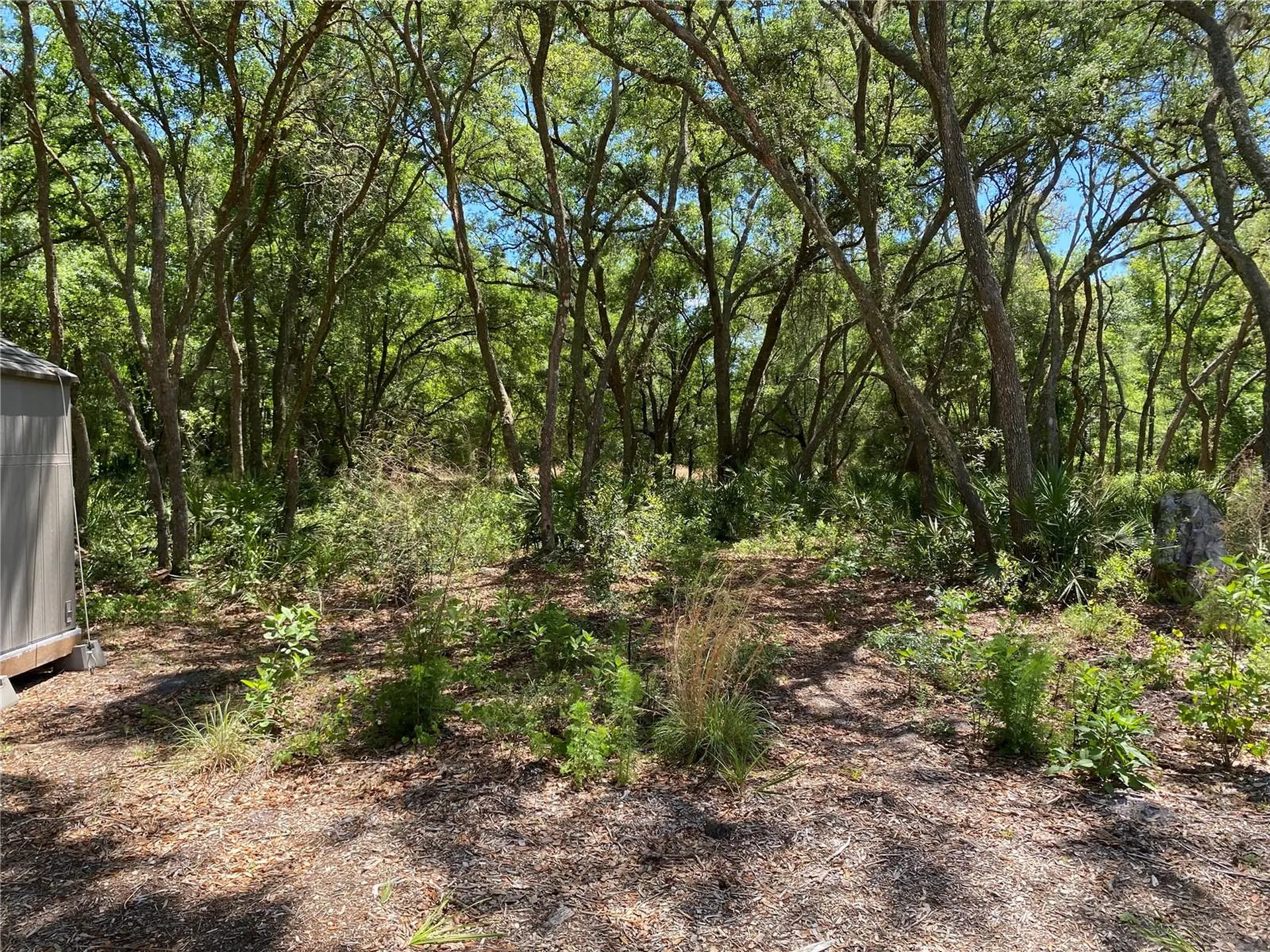 36064 Butternut Drive Webster FL 33597