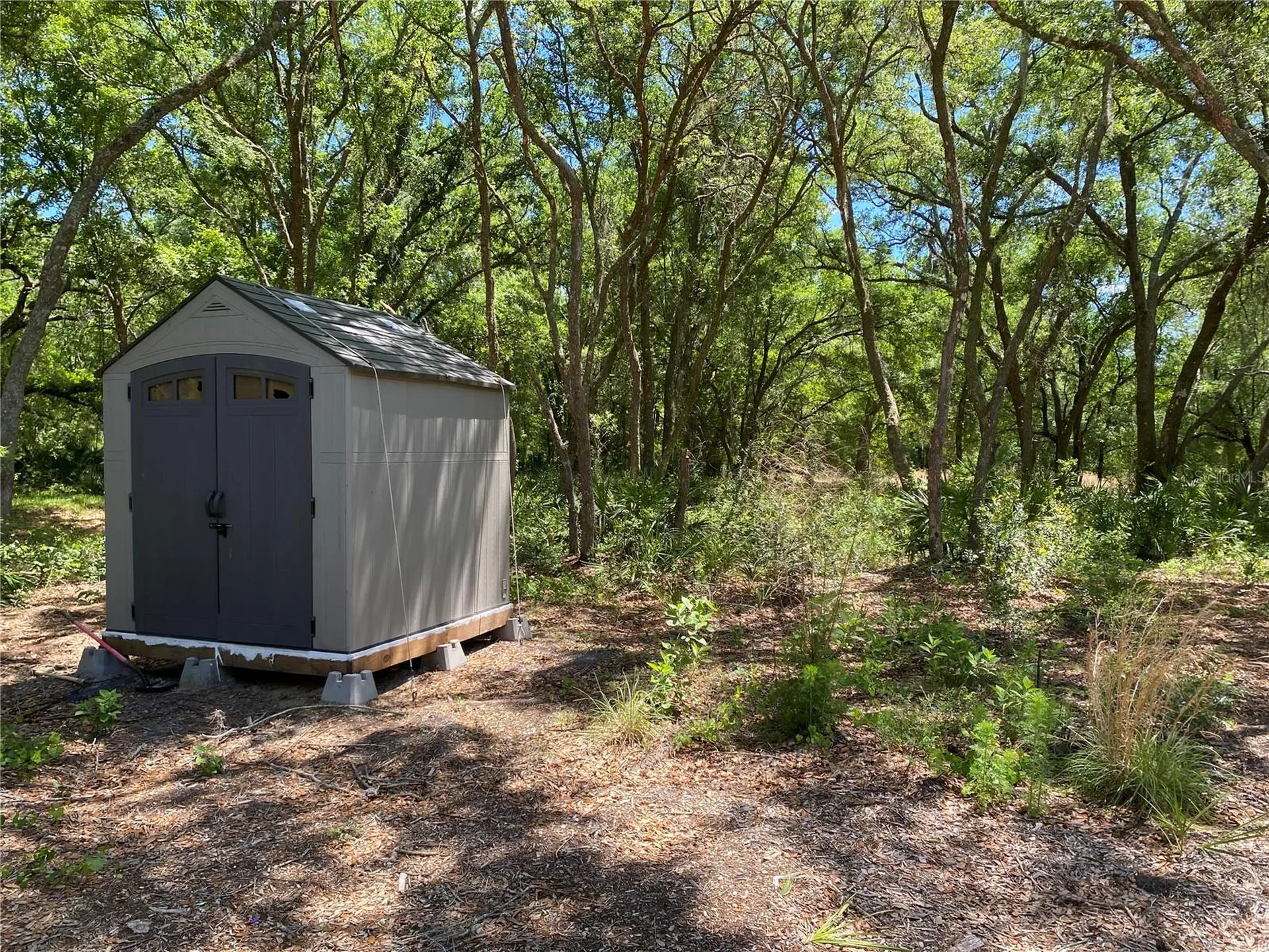 36064 Butternut Drive Webster FL 33597