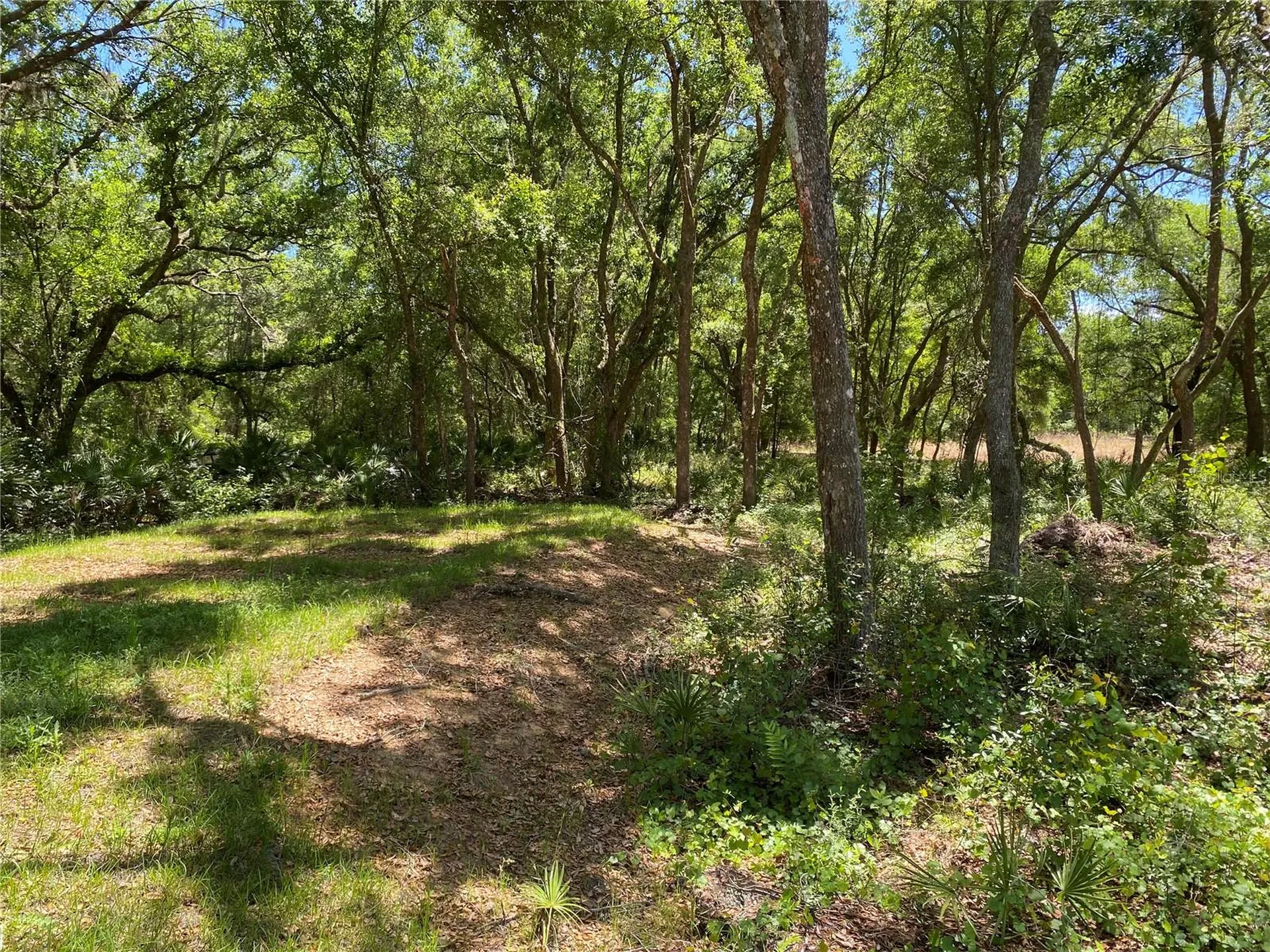 36064 Butternut Drive Webster FL 33597