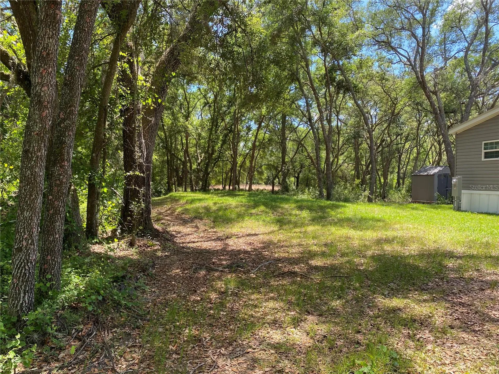 36064 Butternut Drive Webster FL 33597