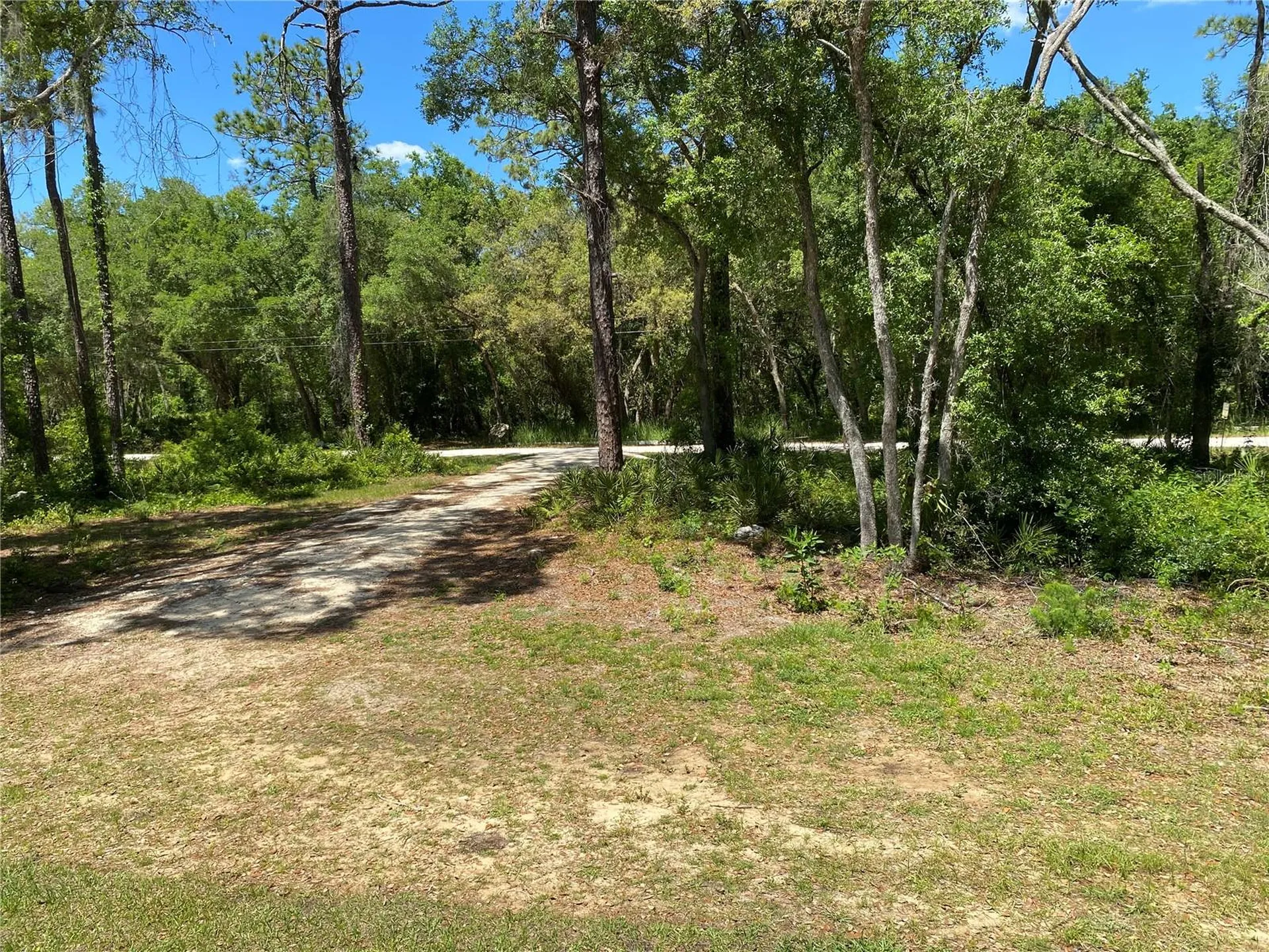 36064 Butternut Drive Webster FL 33597