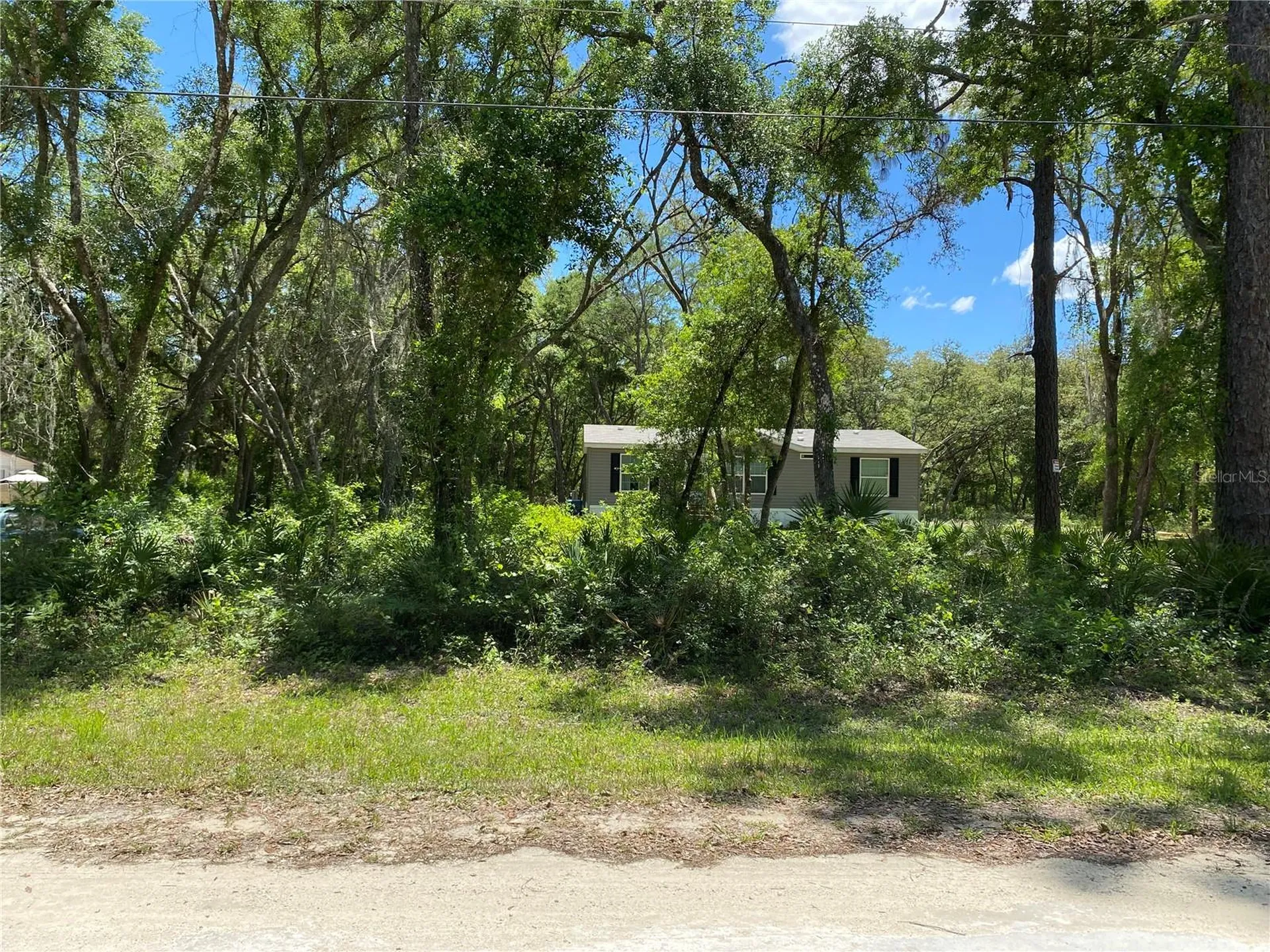 36064 Butternut Drive Webster FL 33597