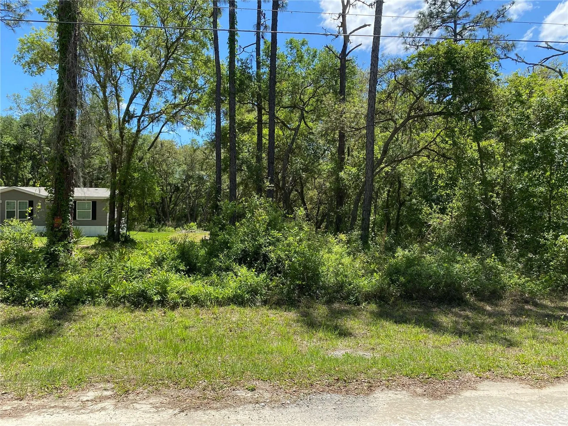 36064 Butternut Drive Webster FL 33597
