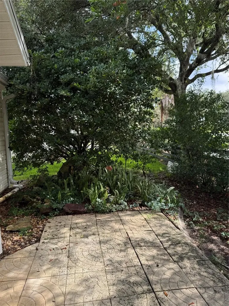 1033 Oak Forest Drive The Villages FL 32162