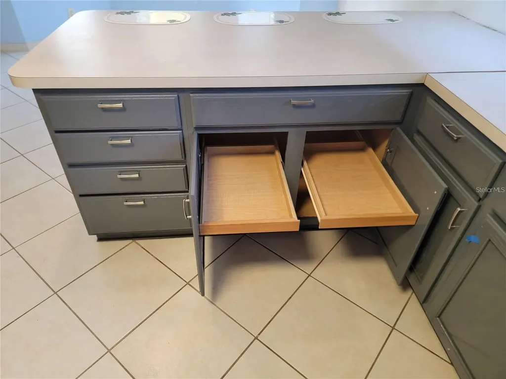 1033 Oak Forest Drive The Villages FL 32162