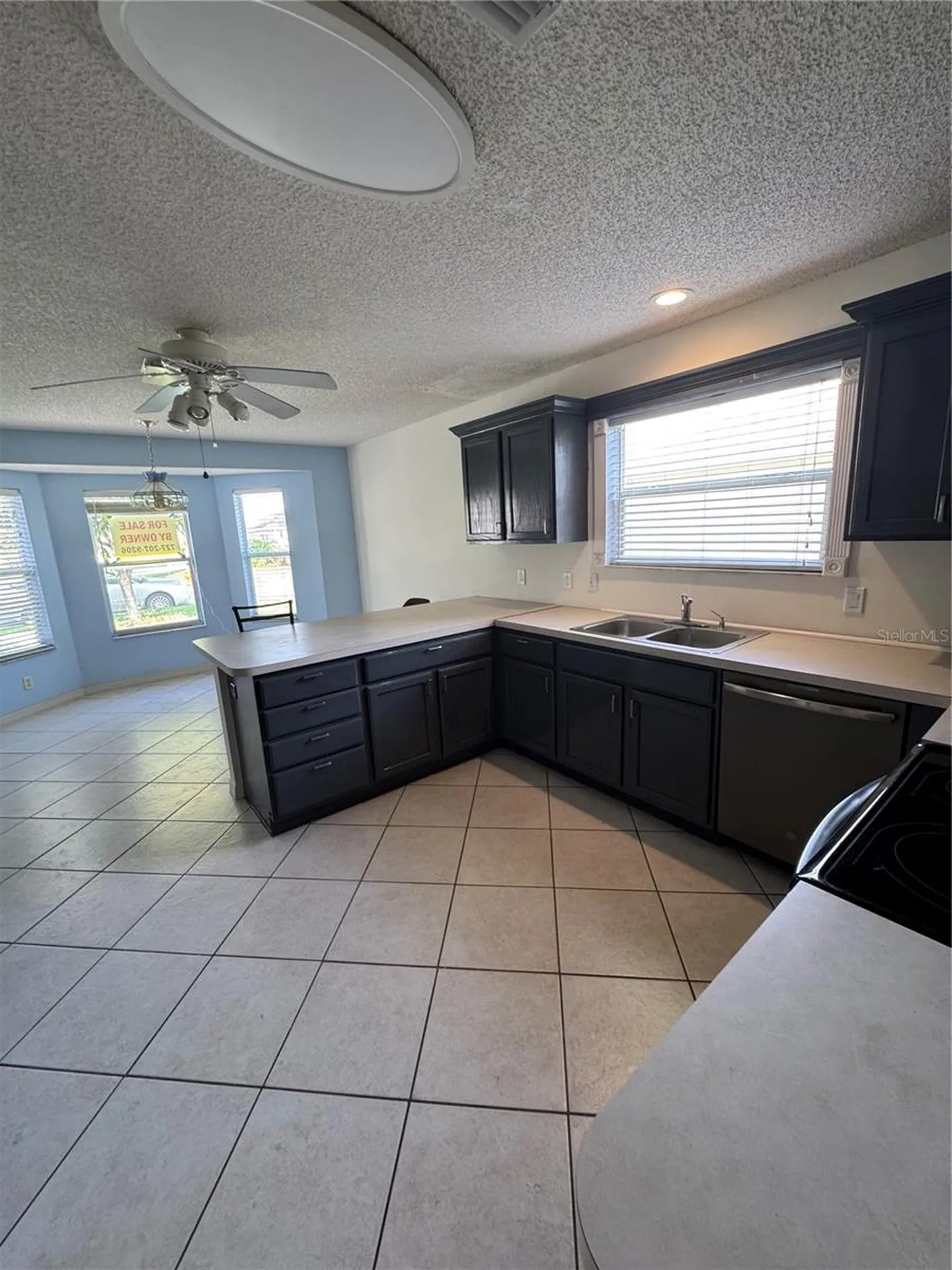 1033 Oak Forest Drive The Villages FL 32162
