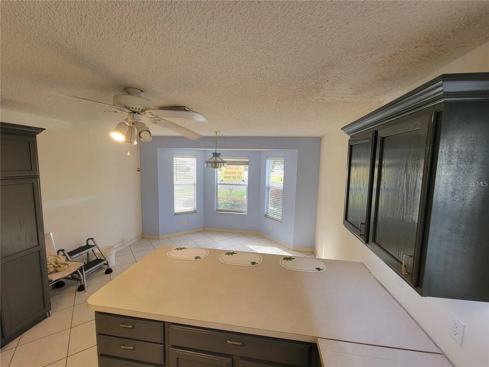 1033 Oak Forest Drive The Villages FL 32162