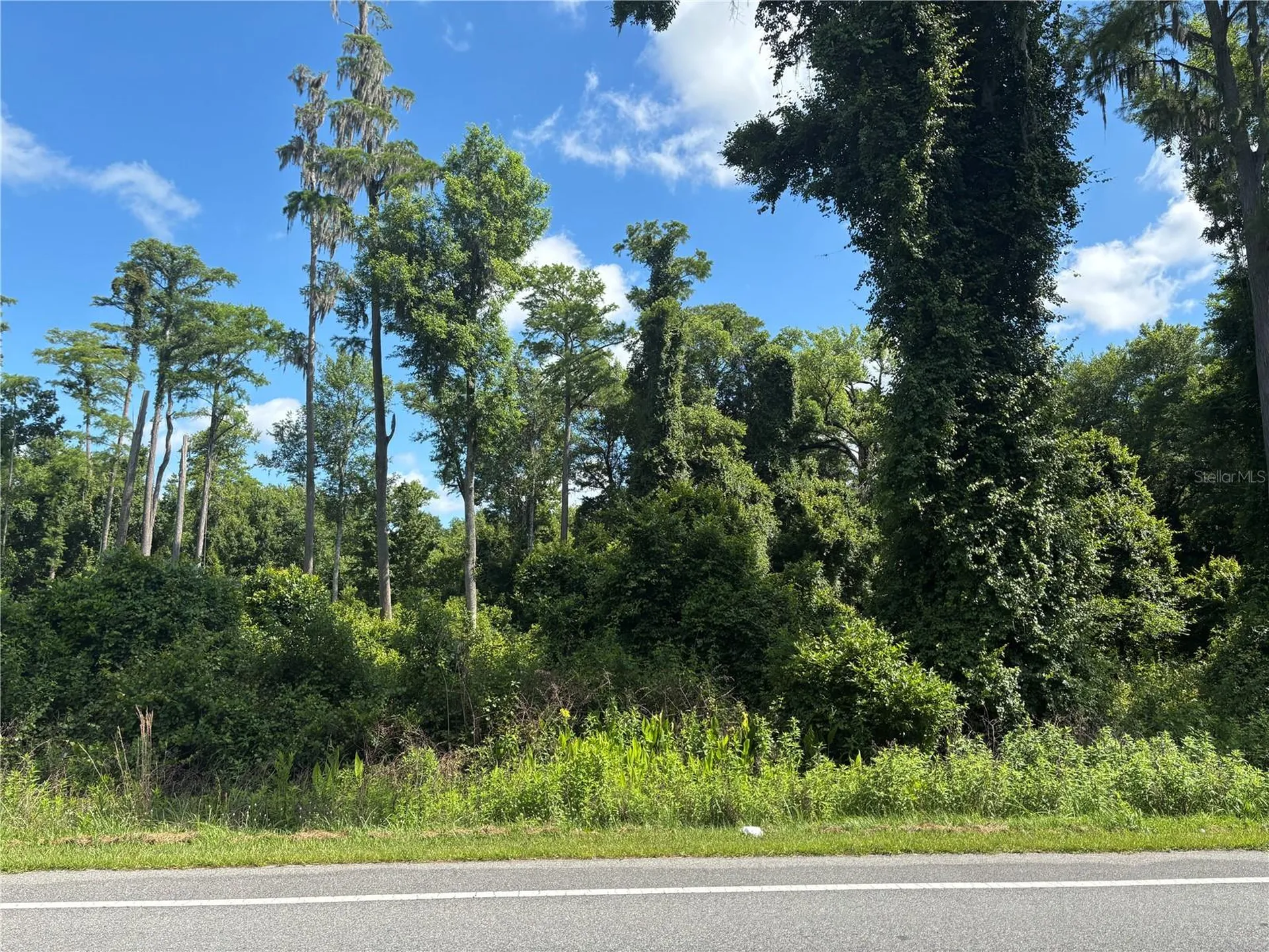 5014 Mahogany Boulevard Bunnell FL 32110