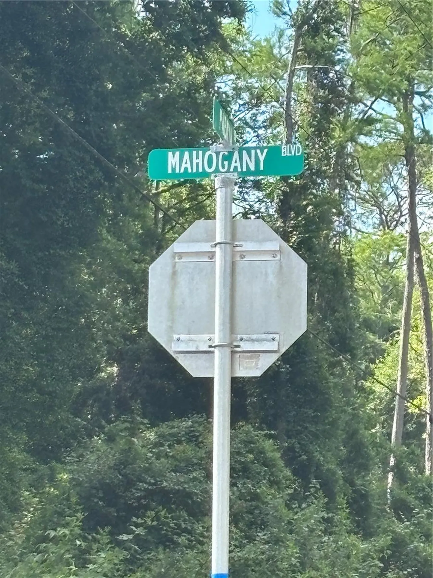 5014 Mahogany Boulevard Bunnell FL 32110
