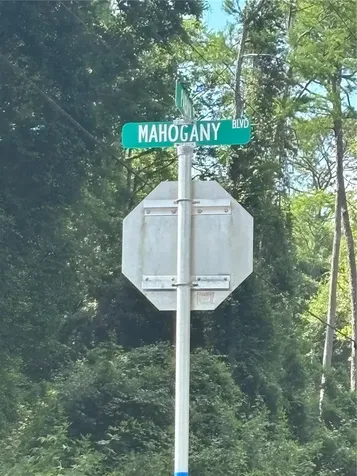 5014 Mahogany Boulevard Bunnell FL 32110