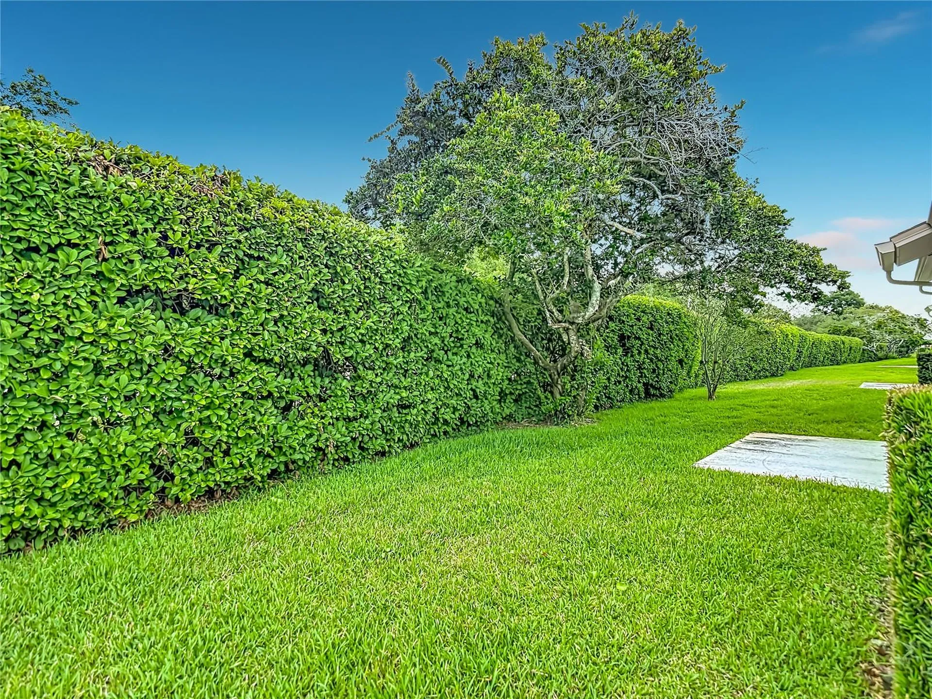 11541 Orleans Lane Port Richey FL 34668