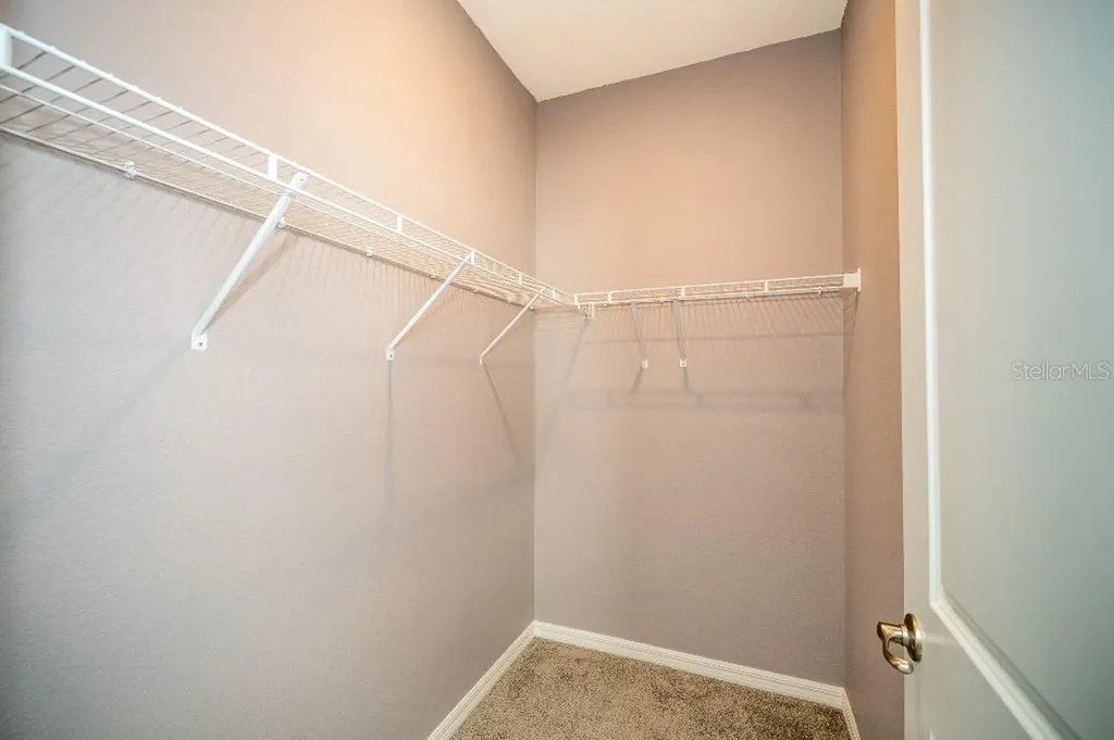 3115 Canopy Oak Boulevard Wildwood FL 34785
