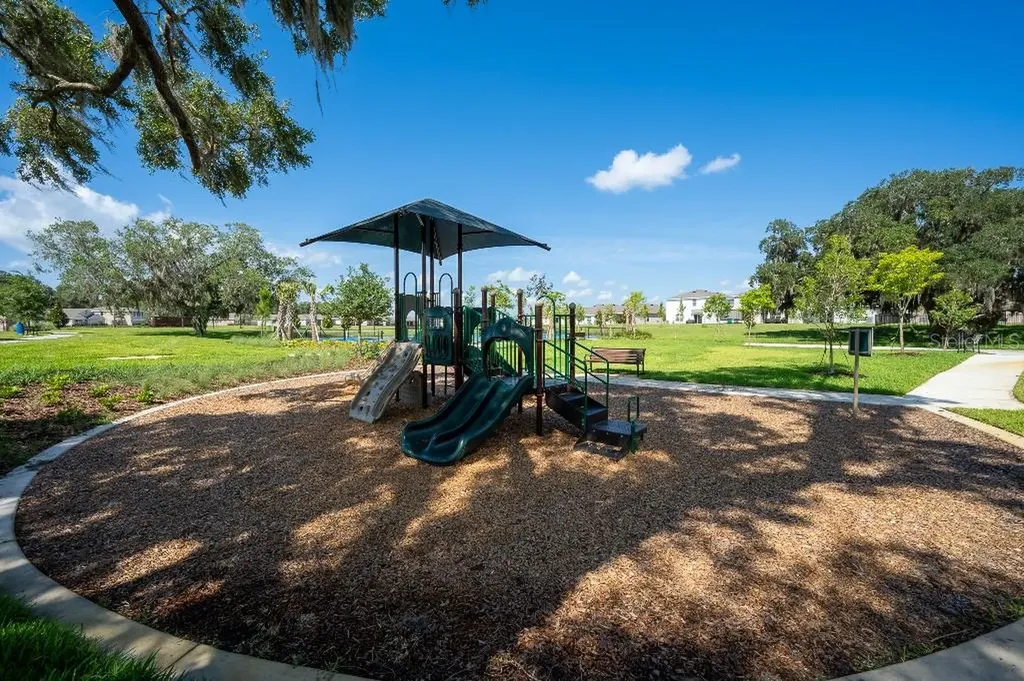 3115 Canopy Oak Boulevard Wildwood FL 34785