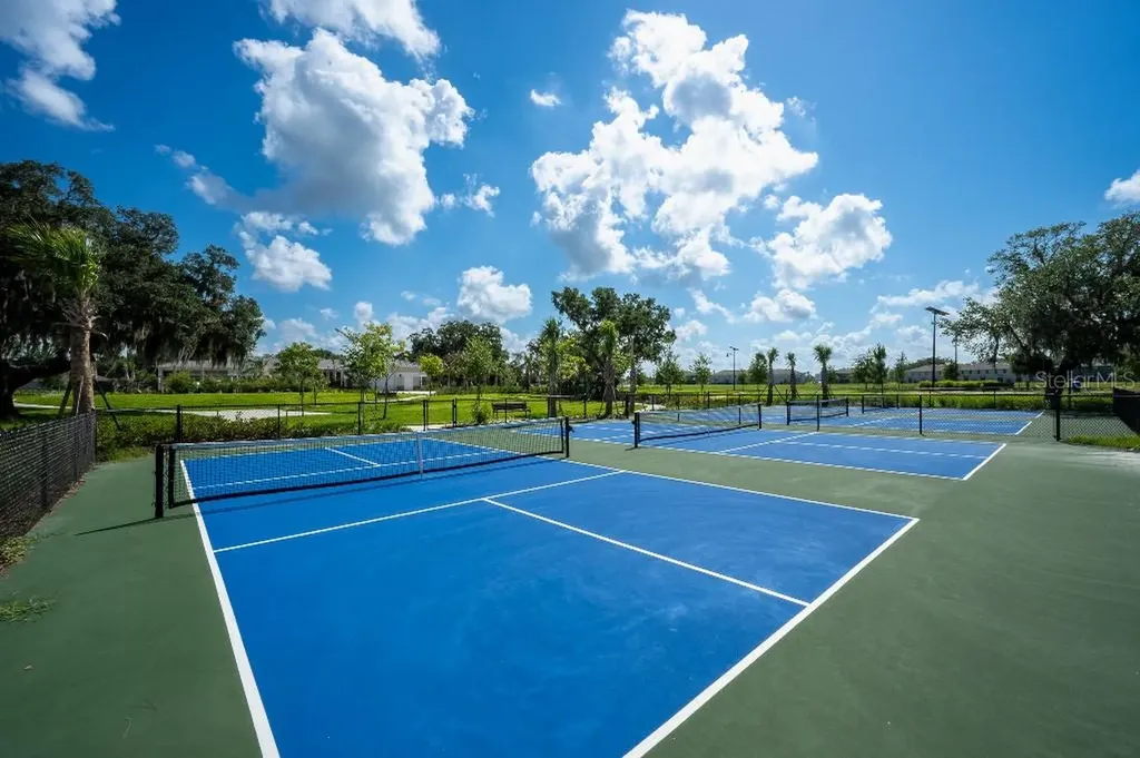 3115 Canopy Oak Boulevard Wildwood FL 34785