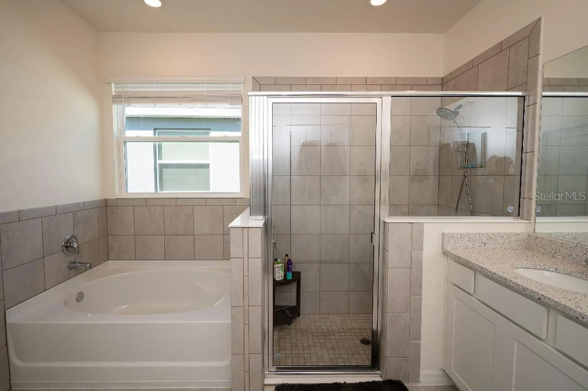 3115 Canopy Oak Boulevard Wildwood FL 34785