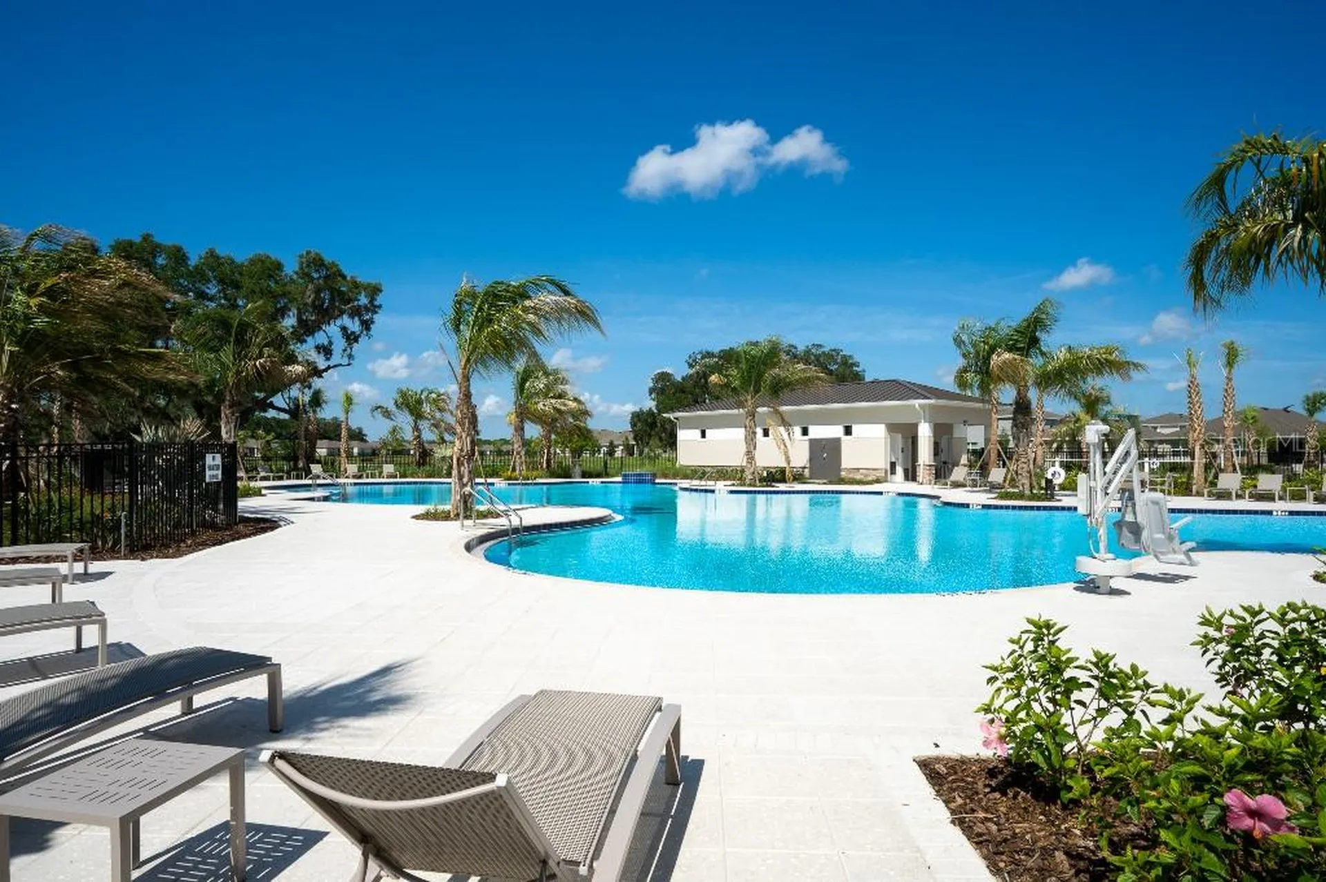 3115 Canopy Oak Boulevard Wildwood FL 34785