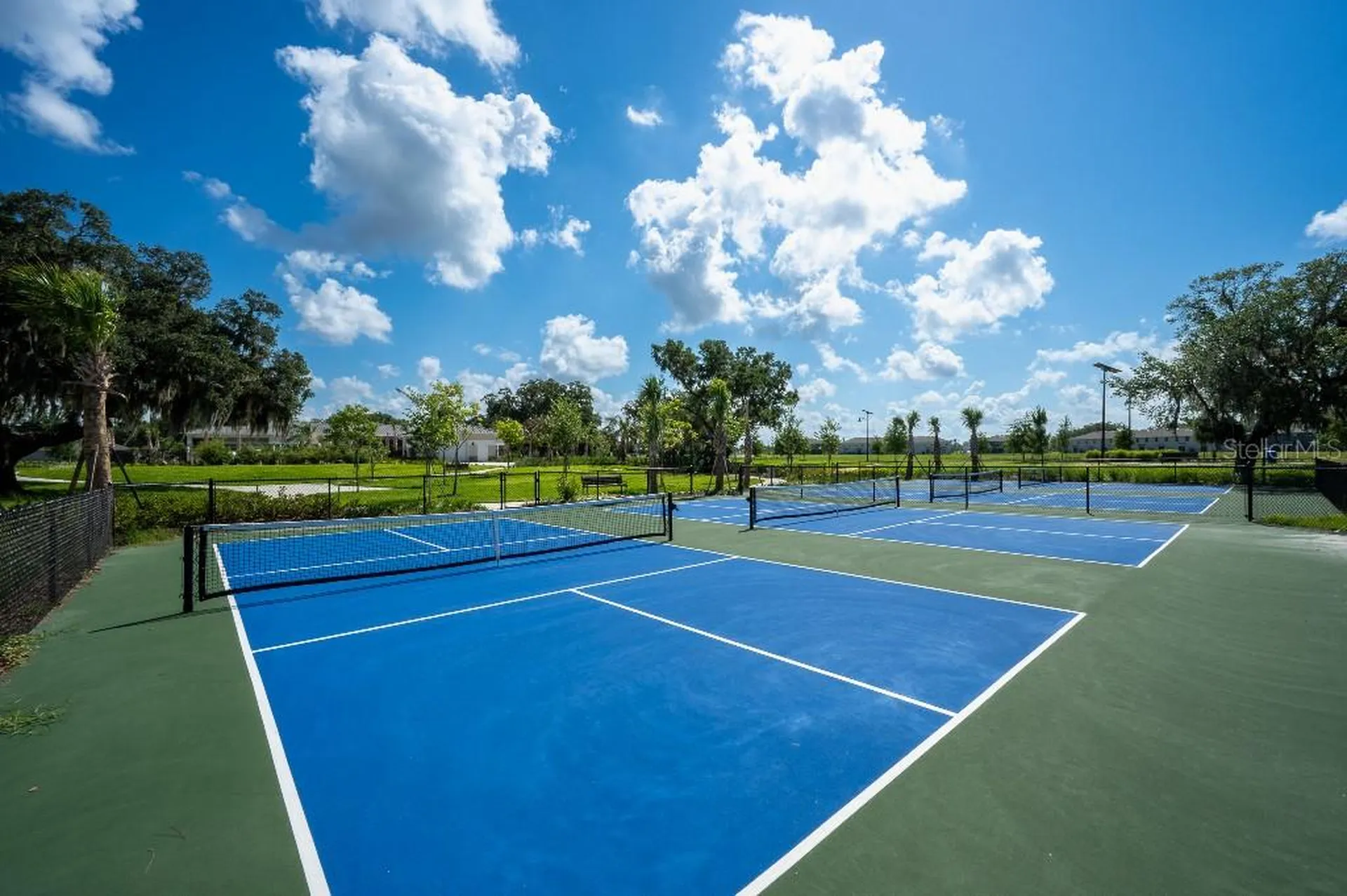 3115 Canopy Oak Boulevard Wildwood FL 34785