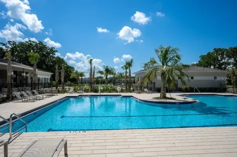3115 Canopy Oak Boulevard Wildwood FL 34785