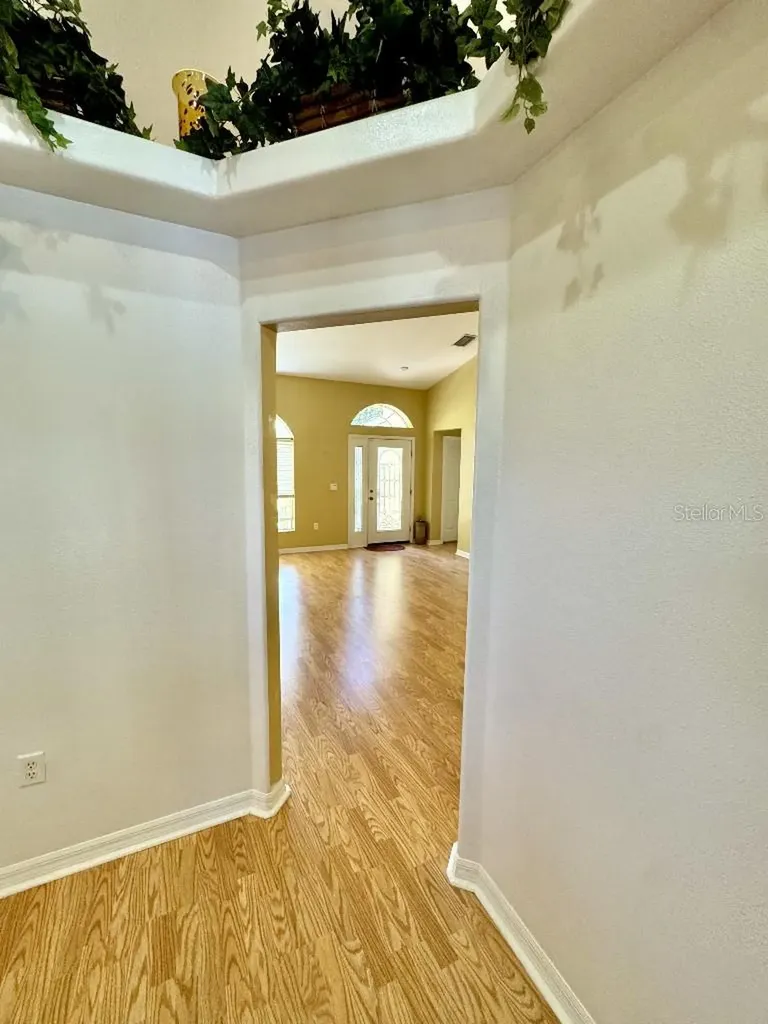 5634 Whitebark Drive Wesley Chapel FL 33543
