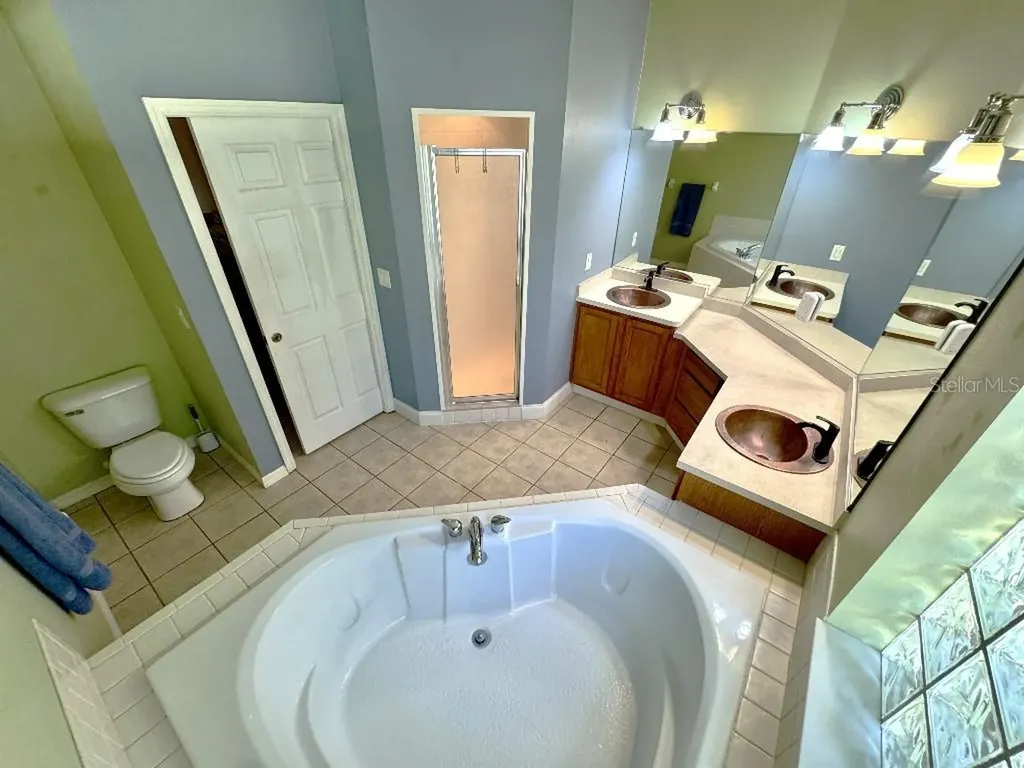 5634 Whitebark Drive Wesley Chapel FL 33543