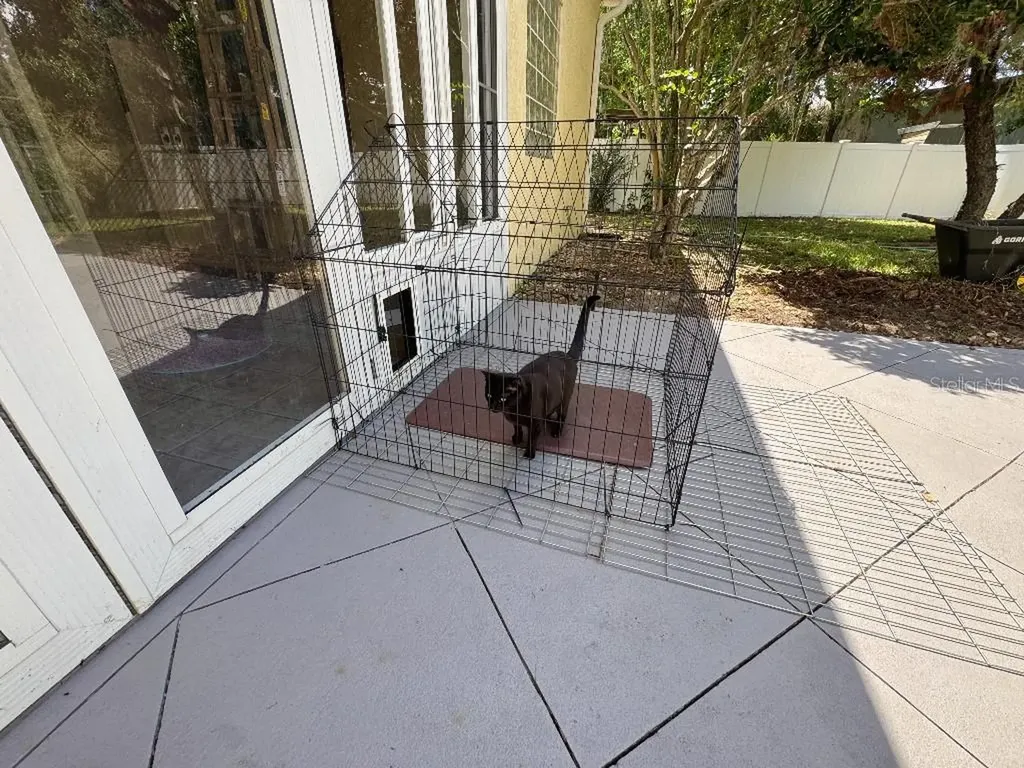 5634 Whitebark Drive Wesley Chapel FL 33543