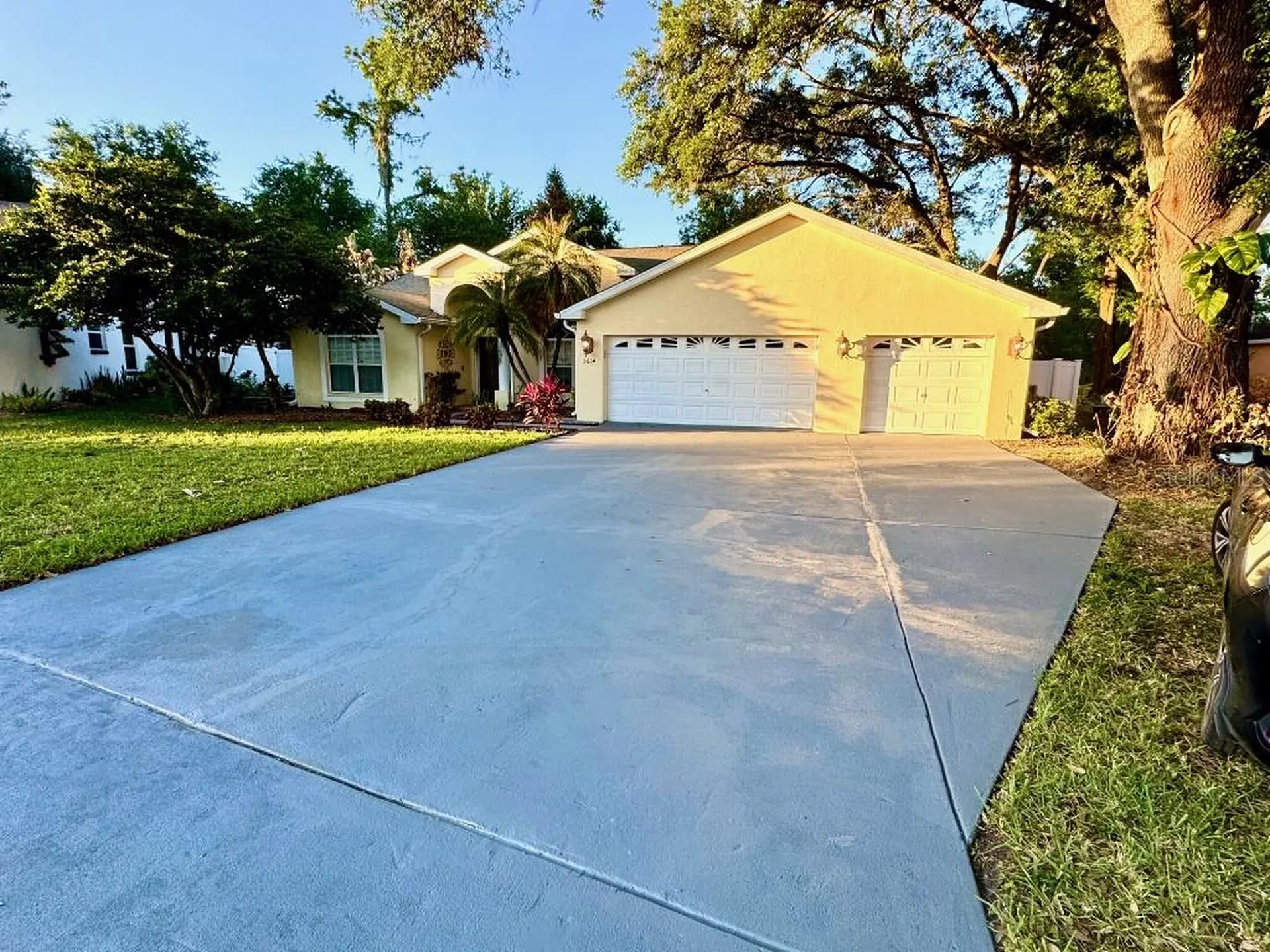 5634 Whitebark Drive Wesley Chapel FL 33543