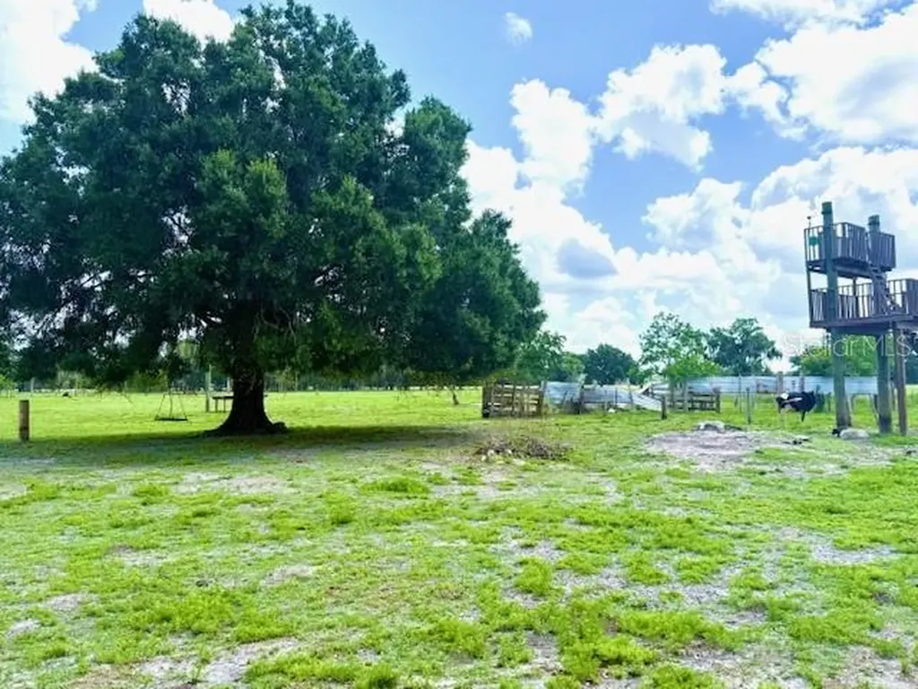 8206 Back Road Plant City FL 33565