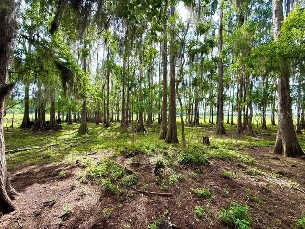 8206 Back Road Plant City FL 33565