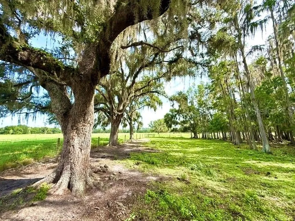 8206 Back Road Plant City FL 33565