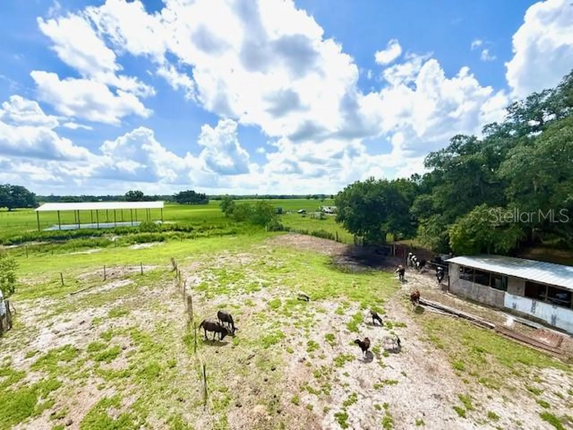 8206 Back Road Plant City FL 33565
