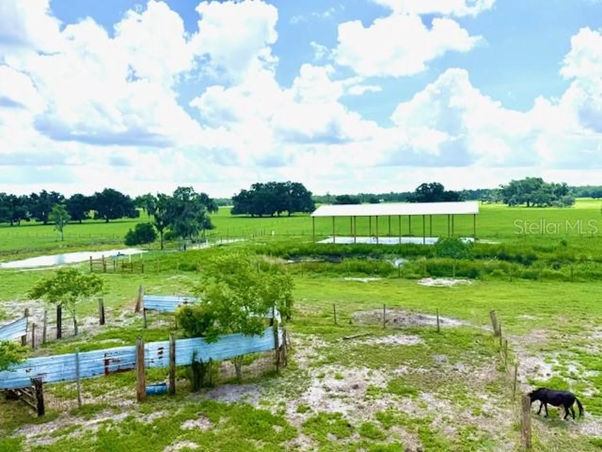 8206 Back Road Plant City FL 33565