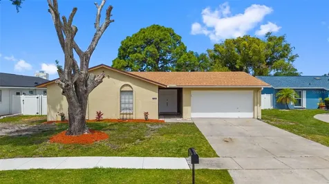 7516 Armand Circle Tampa FL 33634