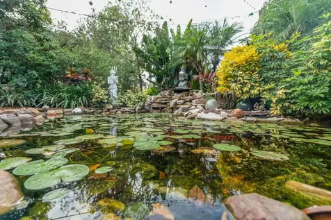 2390 Sheridan Road Mount Dora FL 32757