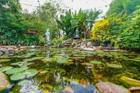 2390 Sheridan Road Mount Dora FL 32757