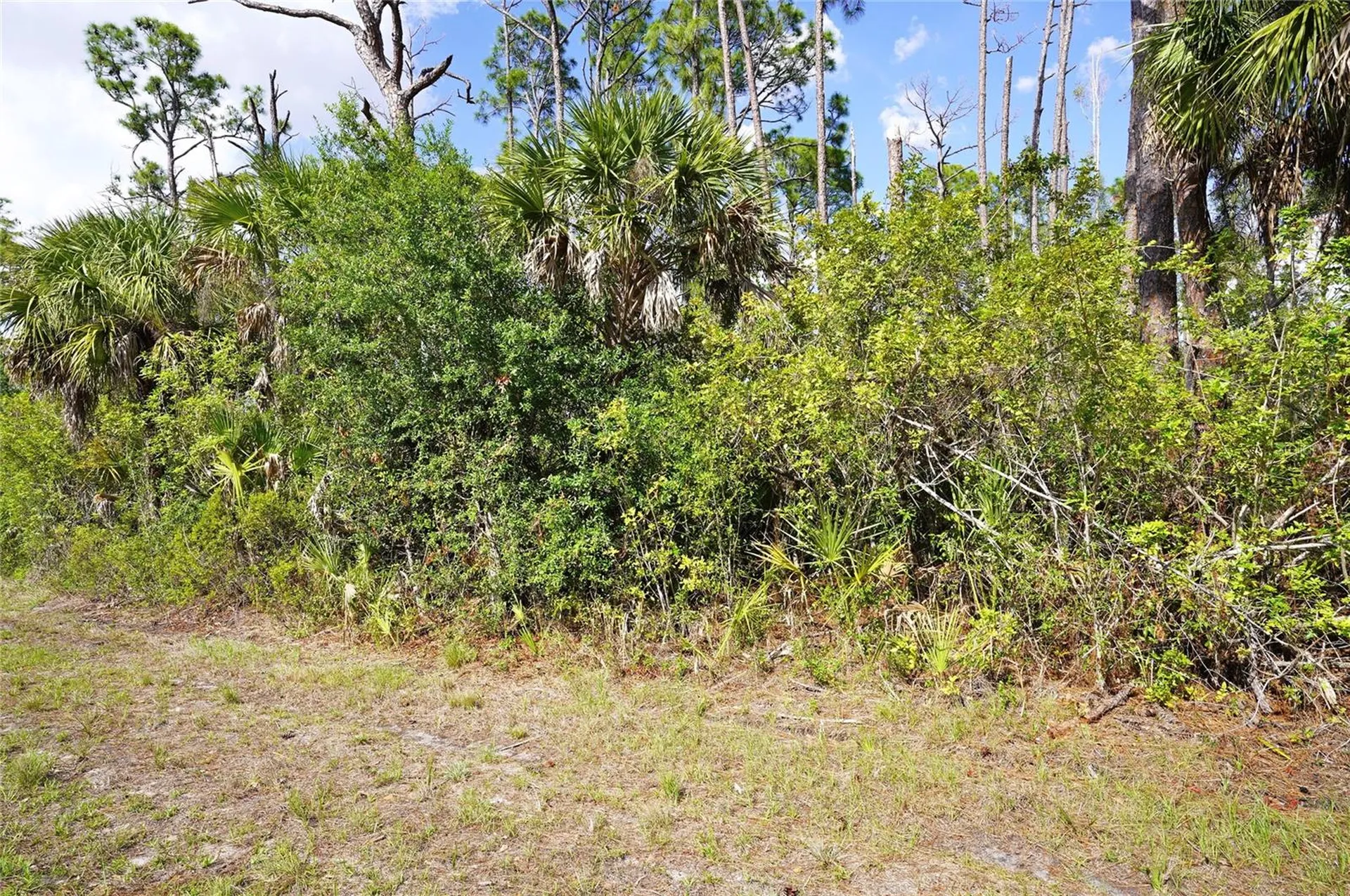 510 Dailey Street Port Charlotte FL 33953