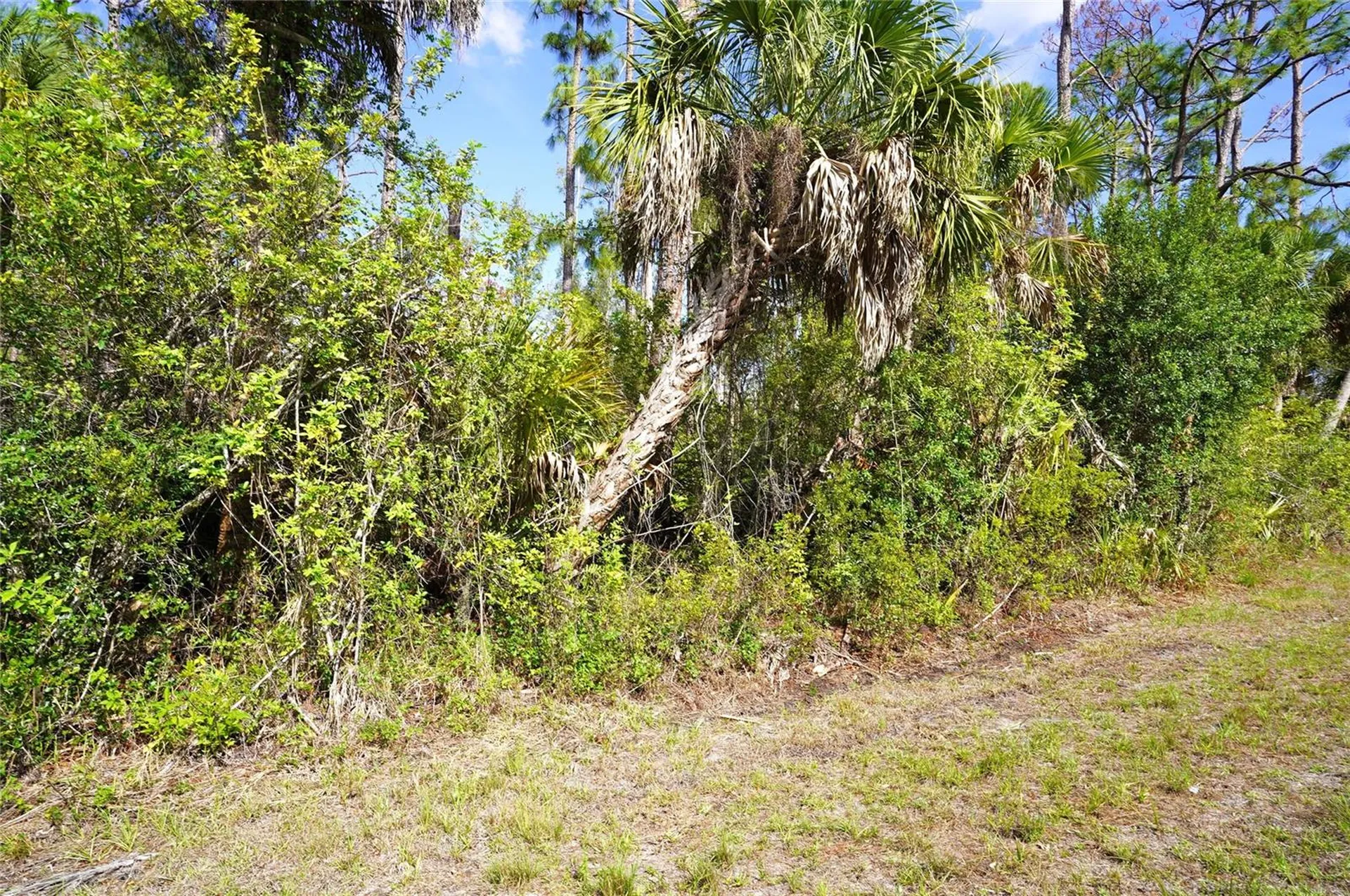 510 Dailey Street Port Charlotte FL 33953