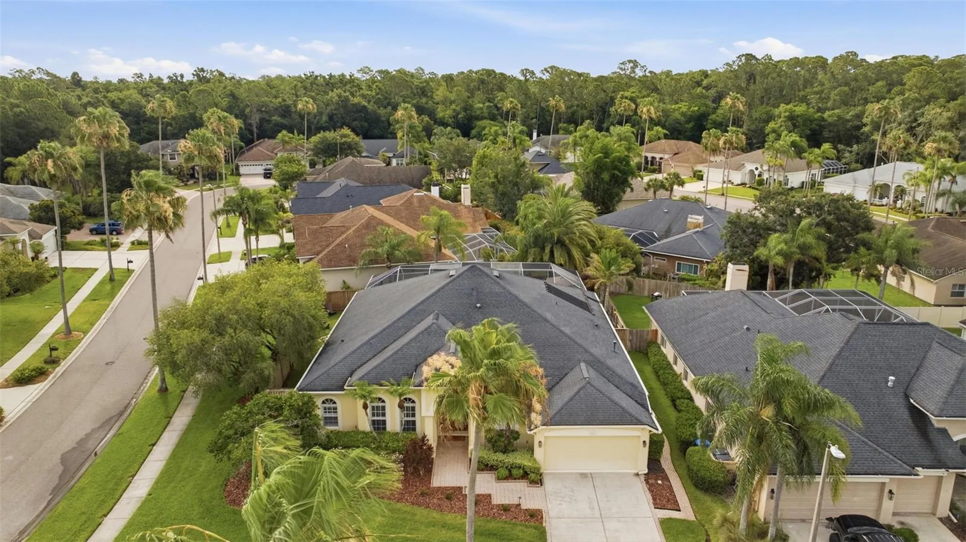 11902 Wandsworth Drive Tampa FL 33626