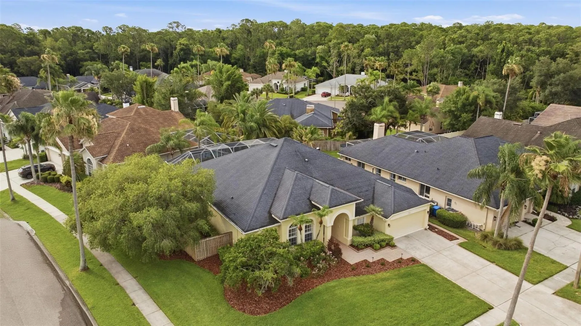 11902 Wandsworth Drive Tampa FL 33626