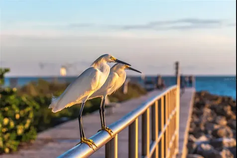 13440 1st Street E Madeira Beach FL 33708