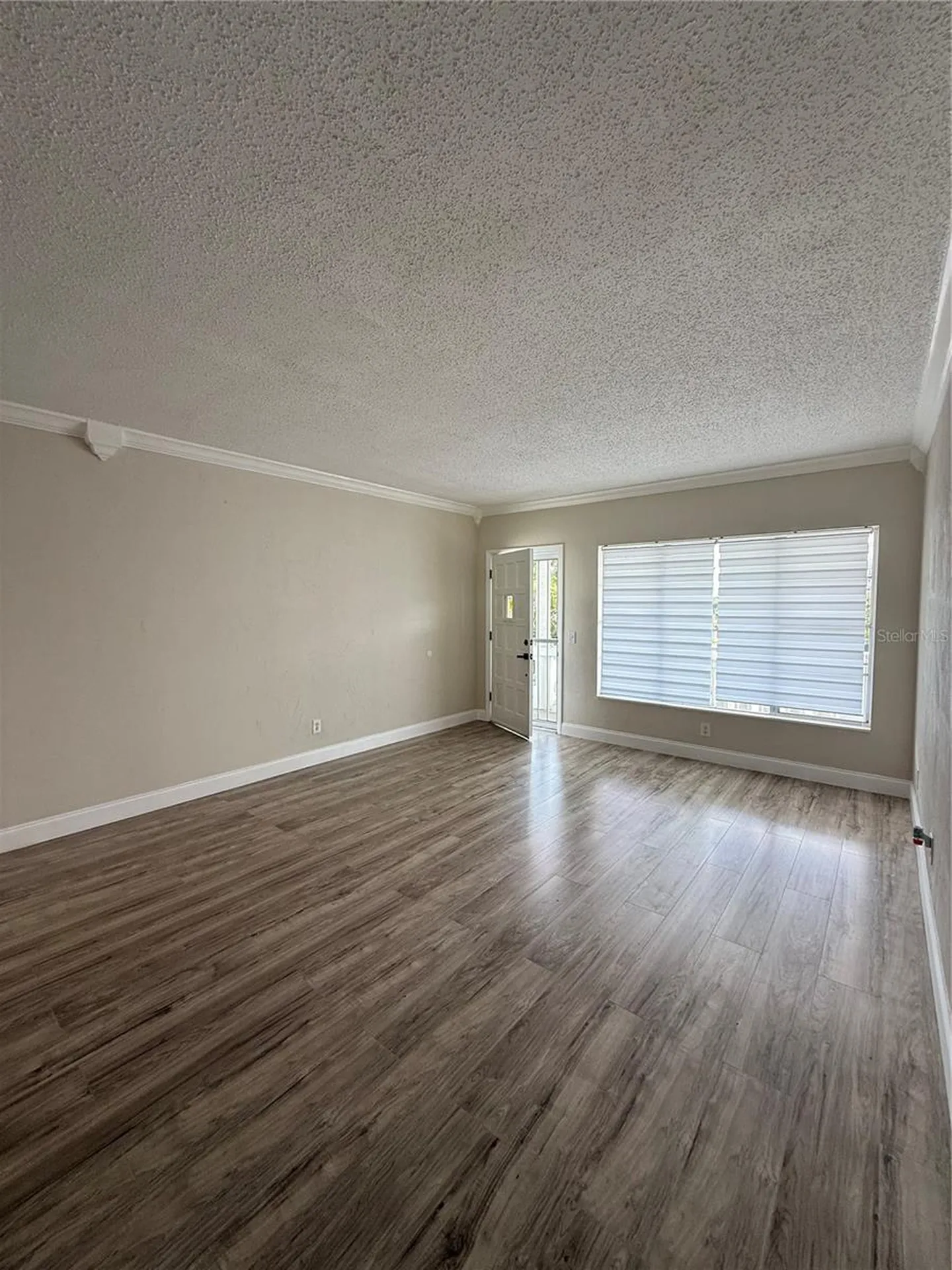 2428 Columbia Drive Clearwater FL 33763